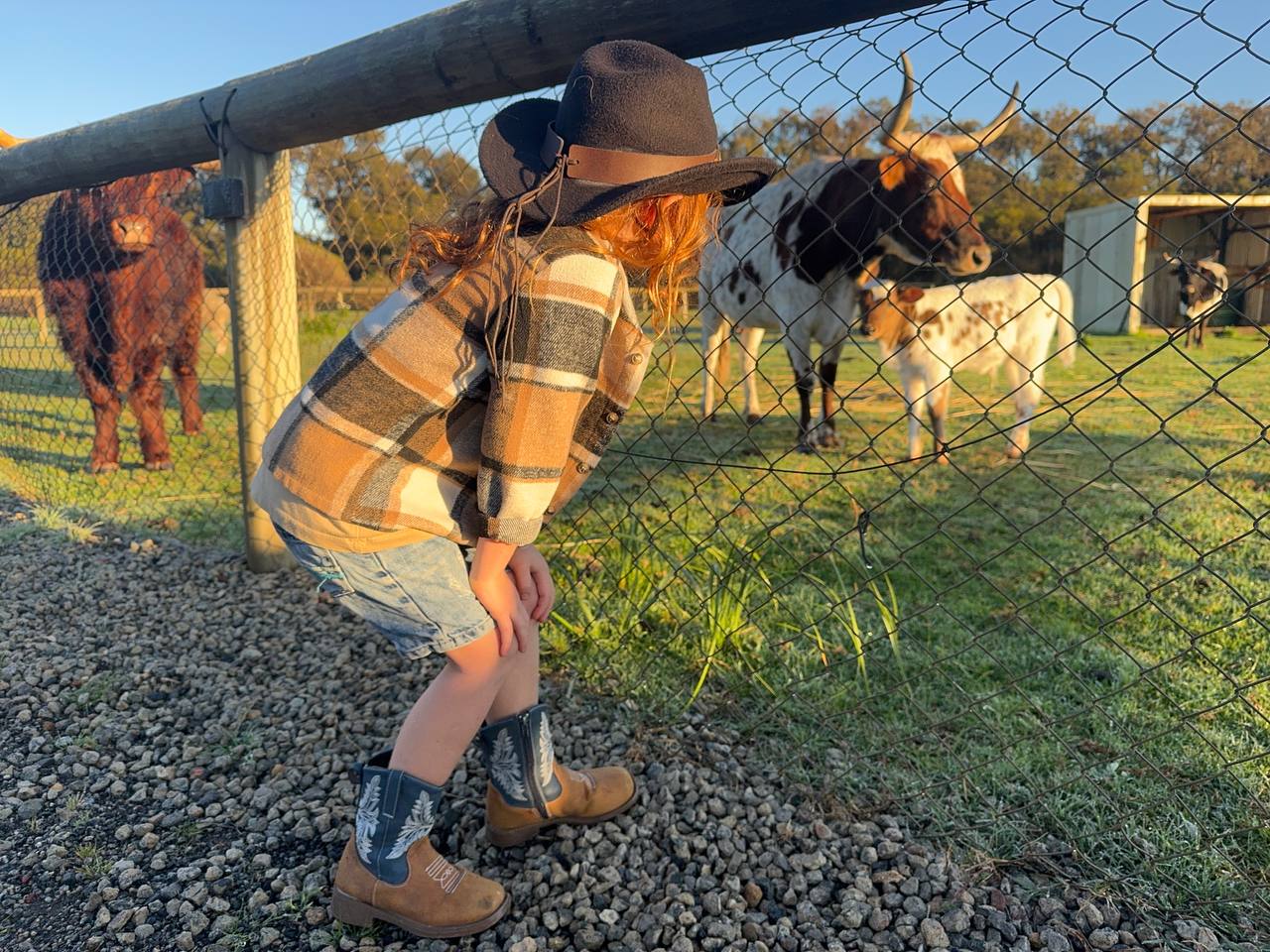 Ryder at the fence in his cowboy hat