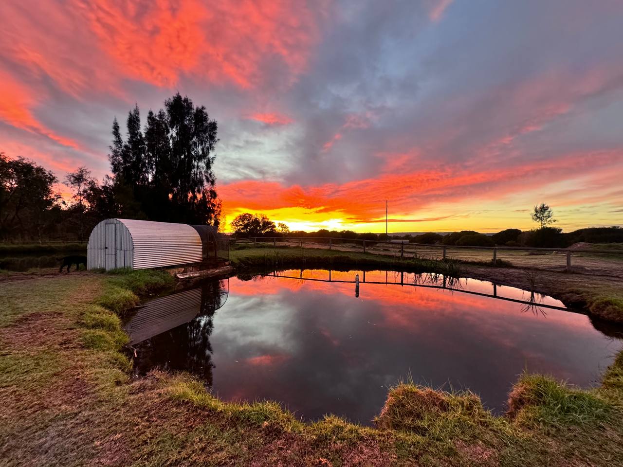 Farm dam at sunset