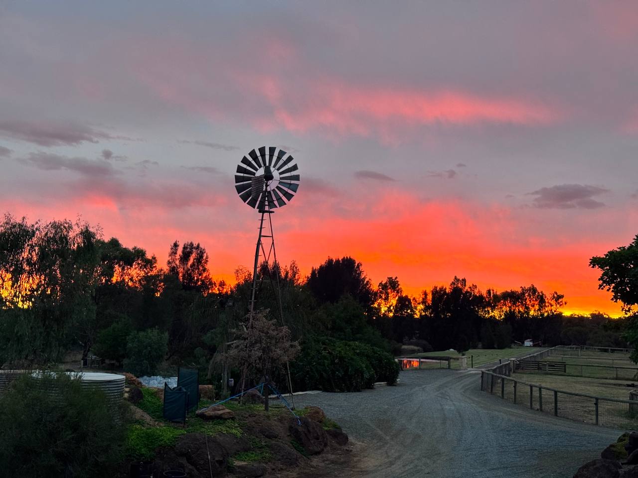 Windmill sunset